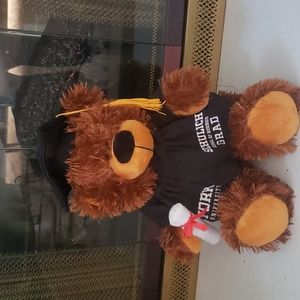 🎓 Graduation from York University 🧸 teddy bear FREE DELIVERY